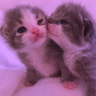 💜