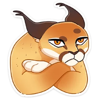 😼