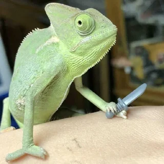 🗡