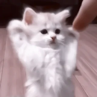 🥠