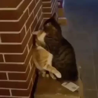 😘