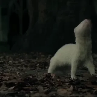 💚