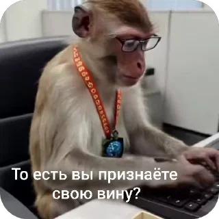 👨‍💻