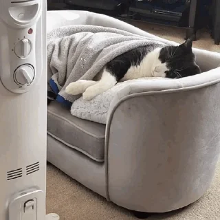 😴