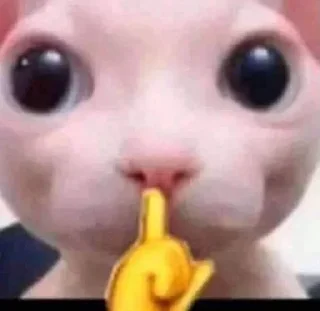 🤫
