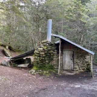 🏕️