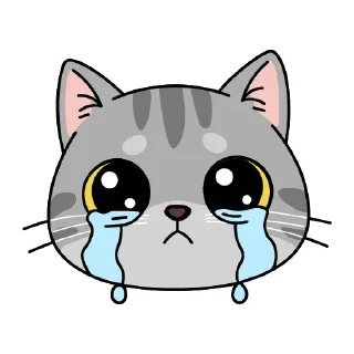 😭