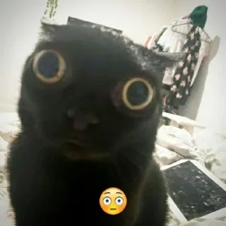😳