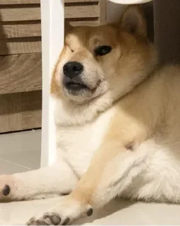 😒