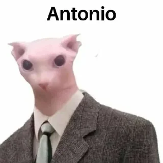 🗿