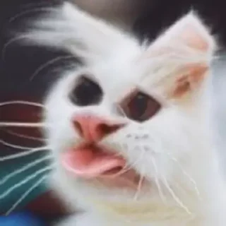 👅