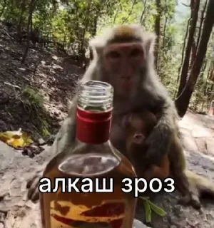 🍺