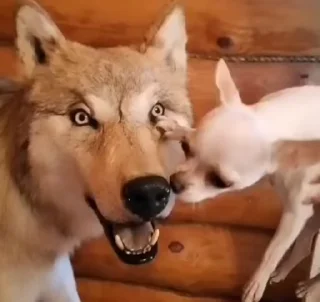 😜