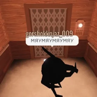 🐈
