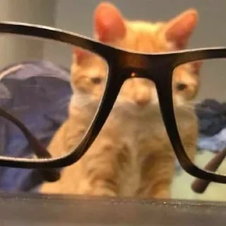 🤓