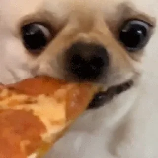 🤤