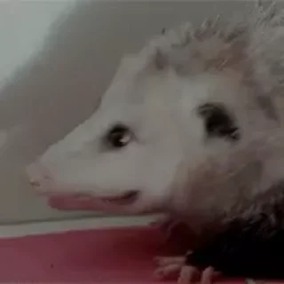 😳