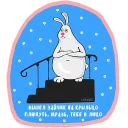 🐰
