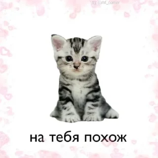 💞