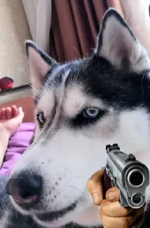 🤠