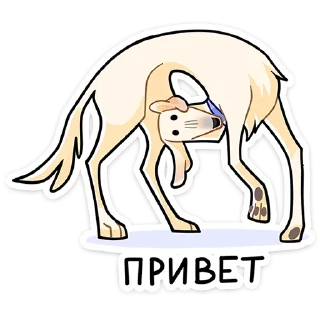 Белый • @TgSticker
