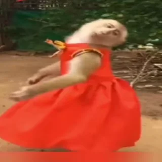 ✍