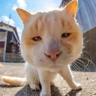 😖