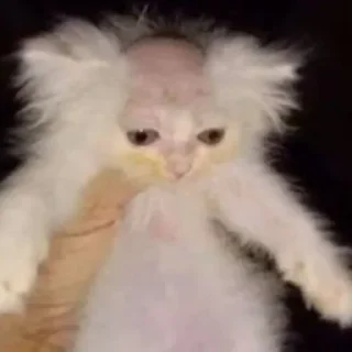 😐