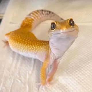 😊