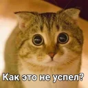 😢