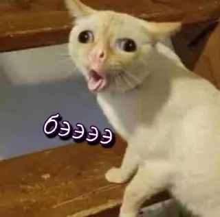 🤢