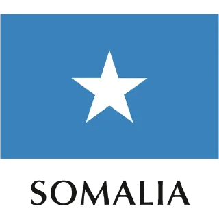 🇸🇴