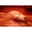 😱
