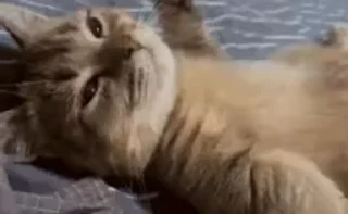 😁