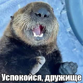 🤫