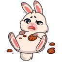 🍪