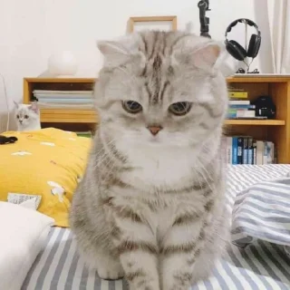 🙁