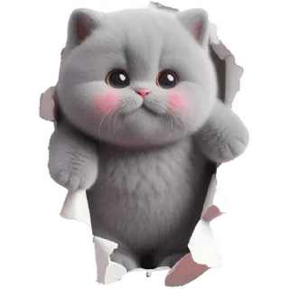 Котёнок TaoTao @Nyasticks