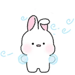 🐇