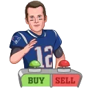 Tom Brady Inu