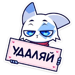 🐱