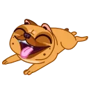 Harry The Frenchie @CenterOfSticker