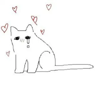 😿