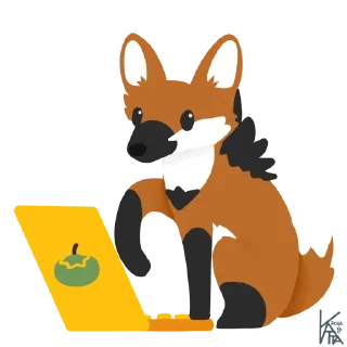 💻