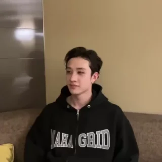 🪰