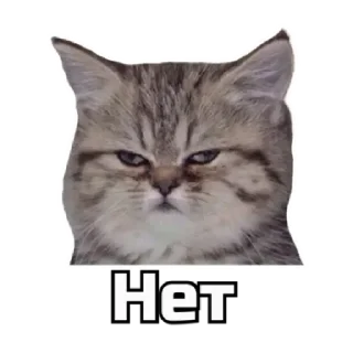➖