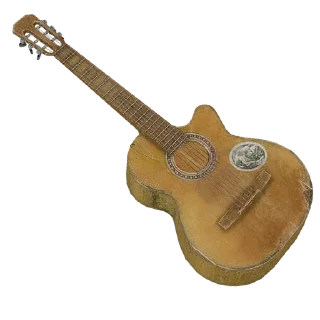 🎸