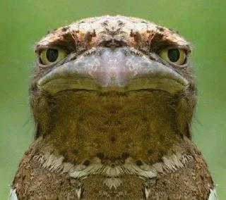 🪃