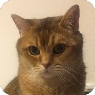 🤨