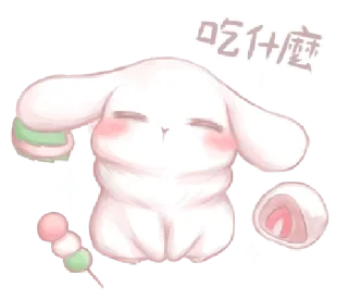 🐰